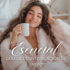 Guia de Desintoxicación